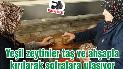 Yeşil zeytinler taş ve ahşapla kırılarak sofralara ulaşıyor