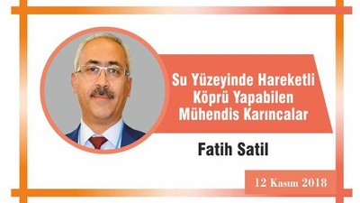 Su Yüzeyinde Hareketli Köprü Yapabilen Mühendis Karıncalar