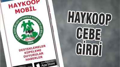 HAYKOOP CEBE GİRDİ