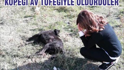 KÖPEĞİ AV TÜFEĞİYLE ÖLDÜRDÜLER