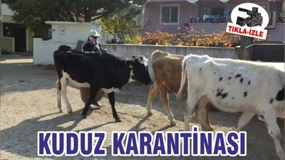 KUDUZ KARANTİNASI