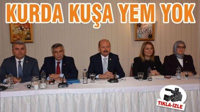 KURDA KUŞA YEM YOK