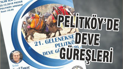 PELİTKÖY’DE DEVE GÜREŞLERİ