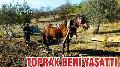 TOPRAK BENİ YAŞATTI