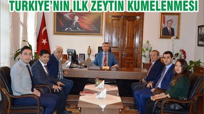 TÜRKİYE’NİN İLK ZEYTİN KÜMELENMESİ