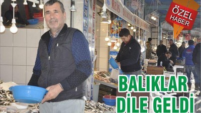 BALIKLAR DİLE GELDİ