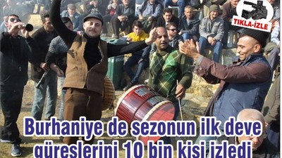 Burhaniye de sezonun ilk deve güreşlerini 10 bin kişi izledi