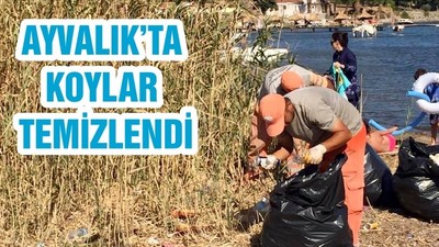 KOYLAR TEMİZLENDİ