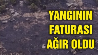 AYVALIKTA YANGIN
