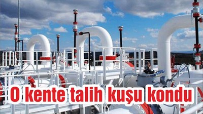 O kente talih kuşu kondu