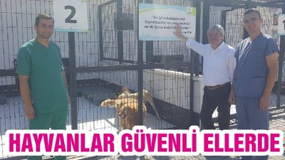 HAYVANLAR GÜVENLİ ELLERDE