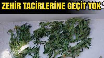 ZEHİR TACİRLERİNE GEÇİT YOK