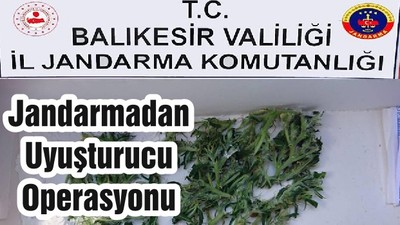 Jandarmadan Uyuşturucu Operasyonu