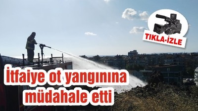 İtfaiye ot yangınına müdahale etti