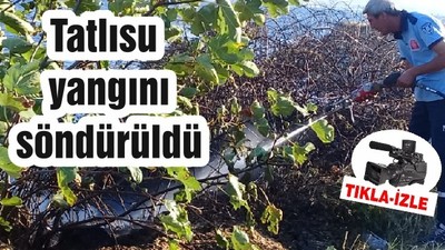 Tatlısu yangını söndürüldü