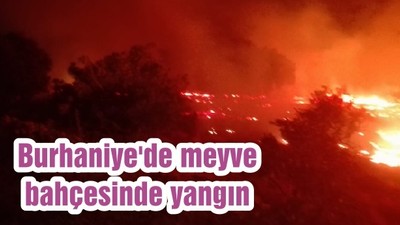 Burhaniye'de meyve bahçesinde yangın