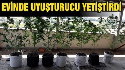 EVİNDE UYUŞTURUCU YETİŞTİRDİ