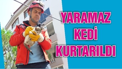 YARAMAZ KEDİ KURTARILDI