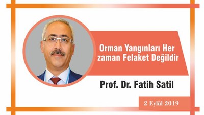 Orman Yangınları Her zaman Felaket Değildir