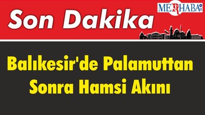 Balıkesir'de Palamuttan Sonra Hamsi Akını