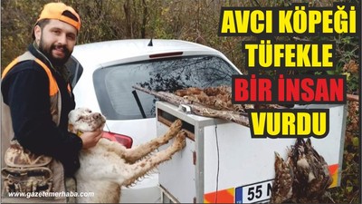 AVCI KÖPEĞİ TÜFEKLE BİR İNSAN VURDU
