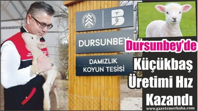 Dursunbey’de Küçükbaş Üretimi Hız Kazandı