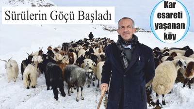 Sürülerin Göçü Başladı