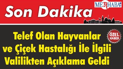 Telef Olan Hayvanlar ve Çiçek Hastalığı İle İlgili Valilikten Açıklama Geldi
