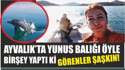 AYVALIK’TA YUNUS BALIĞI ÖYLE BİRŞEY YAPTI Kİ GÖRENLER ŞAŞKIN!