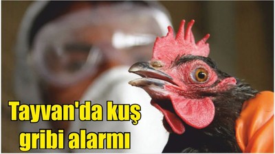 Tayvan'da kuş gribi alarmı