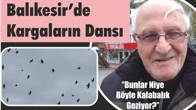 Balıkesir’de Kargaların Dansı