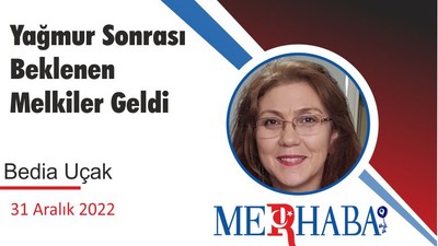 Yağmur Sonrası Beklenen Melkiler Geldi