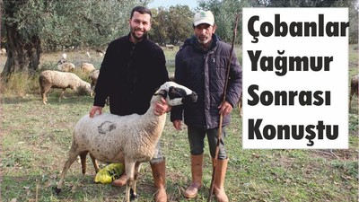 Çobanlar Yağmur Sonrası Konuştu
