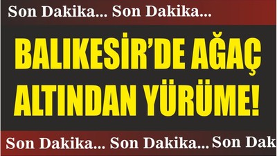 BALIKESİR’DE AĞAÇ ALTINDAN YÜRÜME!