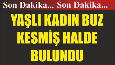 AFAD Ekipleri Yaşlı Kadını Buz Kesmiş Halde Buldu