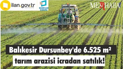 Balıkesir Dursunbey'de 6.525 m² tarım arazisi icradan satılık!