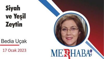 Siyah ve Yeşil Zeytin