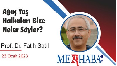 Ağaç Yaş Halkaları Bize Neler Söyler?