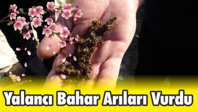 Yalancı Bahar Arıları Vurdu