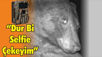 Colorado Ayısı’ndan Selfie Pozu