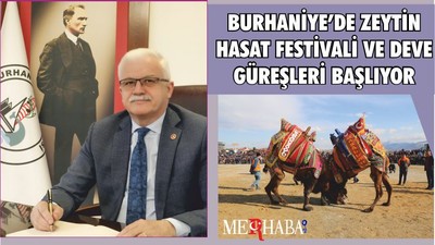 BURHANİYE’DE ZEYTİN HASAT FESTİVALİ VE DEVE GÜREŞLERİ BAŞLIYOR