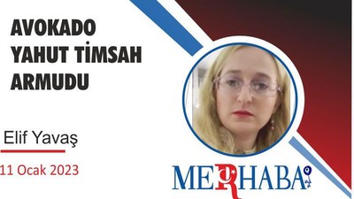 AVOKADO YAHUT TİMSAH ARMUDU