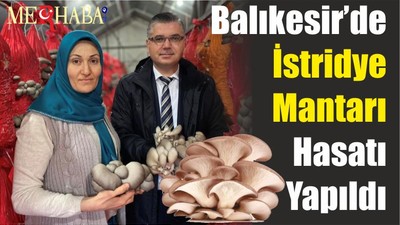 Balıkesir’de İstridye Mantarı Hasatı Yapıldı