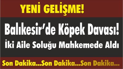 Balıkesir’de Köpek Davası! İki Aile Soluğu Mahkemede Aldı