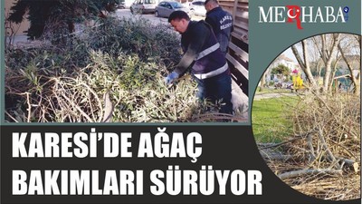 KARESİ’DE AĞAÇ BAKIMLARI SÜRÜYOR