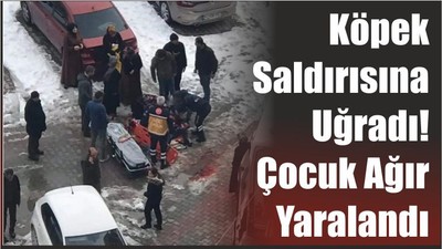 Köpek Saldırısına Uğrayan Küçük Çocuk Ağır Yaralandı
