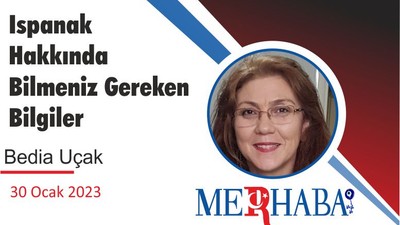 Ispanak Hakkında Bilmeniz Gereken Bilgiler