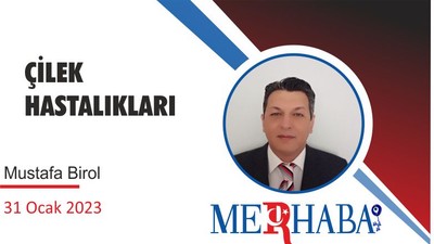 ÇİLEK HASTALIKLARI