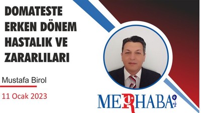 DOMATESTE ERKEN DÖNEM HASTALIK VE ZARARLILARI