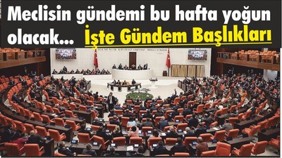 Meclisin gündemi bu hafta yoğun olacak! İşte Gündem Başlıkları